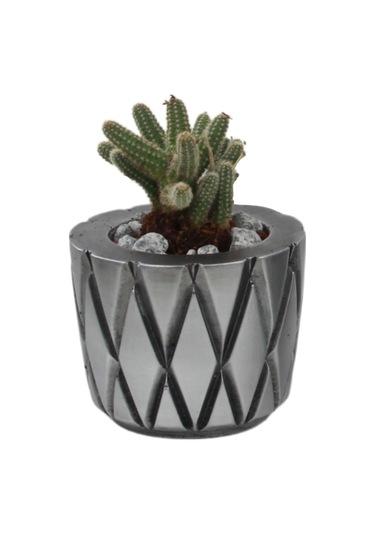 Saksı Çiçek Kaktüs Saksısı Lüx 11 Cm Altın Eskitme Varak Boyalı Baklava Desen Saksı Çiçeklik - Gümüş Eskitme
