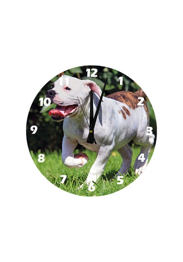 Ti-play Buldog 30x30cm Akrilik Dekoratif Modern Duvar Saati ÇOk Renkli