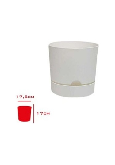 Polıwork Saksı Begonya 18 Cm Beyaz