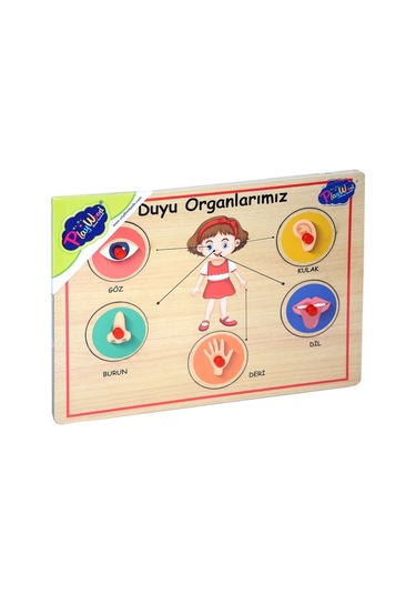 166-167 Onyıl Ahşap Tutmalı Organlar