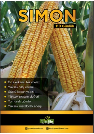Mısır Tohumu Sımon 110 Günlük