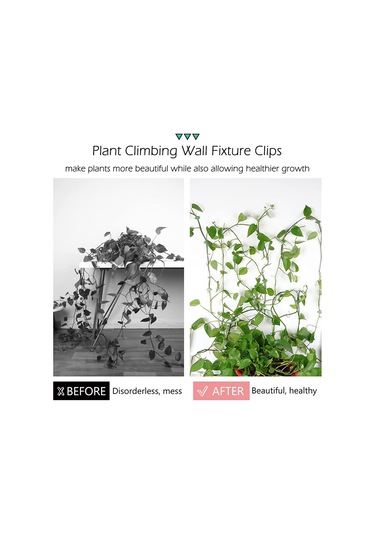 Lebihmurah 2973 Bitki Tırmanma Duvarı Armatür Klipsleri Görünmez Duvar Sarmaşıkları Sabitleme Klipsleri