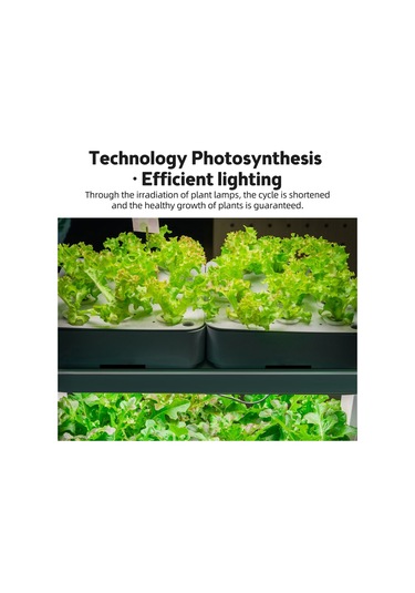 Mufunye - 5 Kademeli Parlaklık & Zamanlayıcılı Bitki Büyüme Işığı: 4000k 3 Çubuklu Hidroponik Sera Aydınlatma Sistemleri Sukulent Yetiştiriciliği İçin