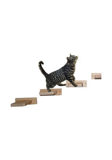 Doğal ahşap kedi basamağı kedi köprüsü duvar yürüyüş yolu 6lı