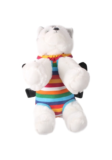 Seyahat Taşınabilir Pet Göğüs Sırt Çantası Pet Taşıma Çantası, Boyut: L Gökkuşağı Çizgili