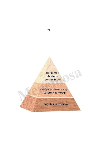 Bargello 171 Kadın Parfüm 50 ML EDP Floral - Mnms50171 Aromatik