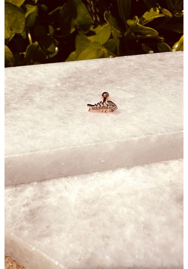 Balık Tasarım Özel Tasarım Rose Gold Renk Stainless Steel Çelik Tragus Helix Piercing