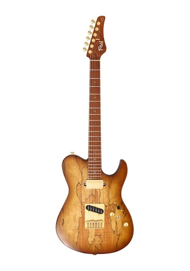 Fujigen Iliad Elektro Gitar Eılew1hsrm/hcb