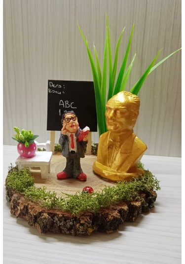 Kütük Teraryum-Erkek