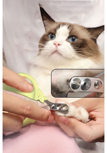 Çelik Uçlu Çift Delikli Yeşil Kedi Tırnak Makası Cin821ys