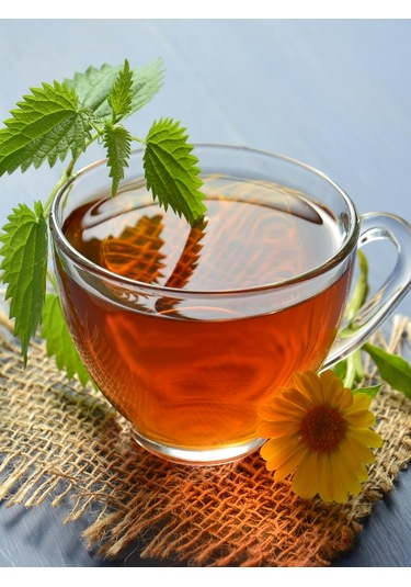 250 Gram İlaçsız Taze - Yaş Toplanmış Organik Isırgan Otu