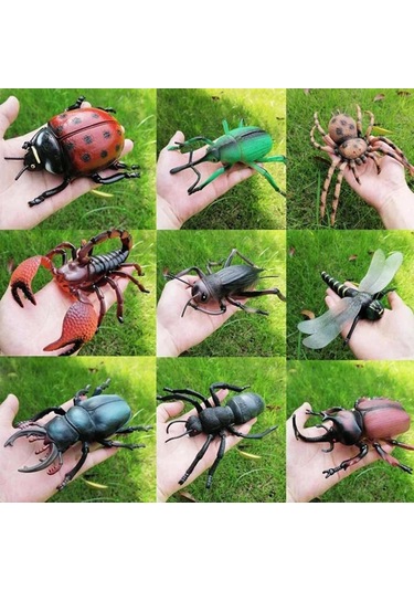 Tenfowee Çocuklar İçin Eğitici Bilgi Verici Böcek Modeli Oyuncak, Fen Ve Doğa Tanıma Hediyesi - Kuvvet Böceği