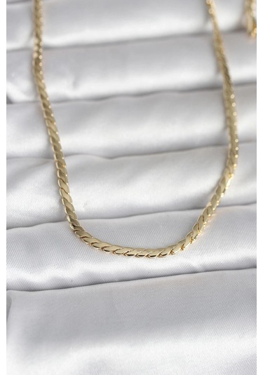Ceylan Adam Cm 14k Gold Renk Yassı Model 60 Cm Kadın Kolye Çok Renkli