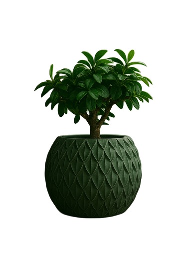 Yeşil Modern Tasarım Dekoratif Saksı