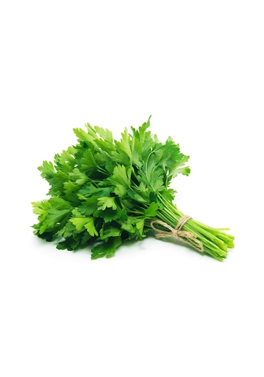 Maydanoz Tohumu Geniş Yaprak 10000 Adet