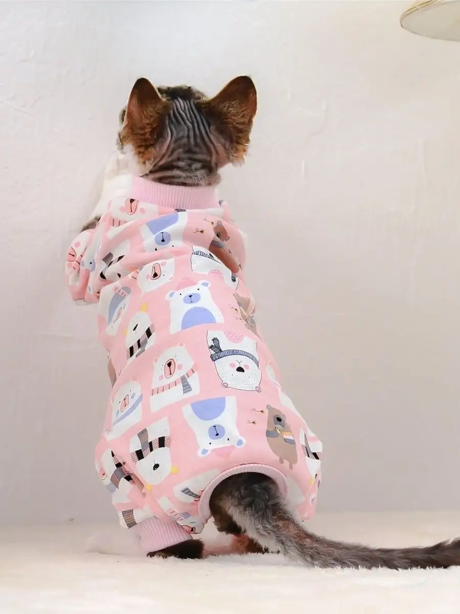 Best Golden Monkey Kediler Ve Köpekler İçin Atkısı "kış Ayıları" 124649378