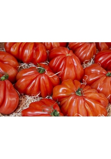 İtalyan Pileli Dev Antik Domates 10 Tohum + Tohum