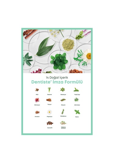 Dentiste Andrographis Paniculata Diş Ve Diş Etlerinde Tam Koruma Diş Macunu 40gr. Tam Koruma