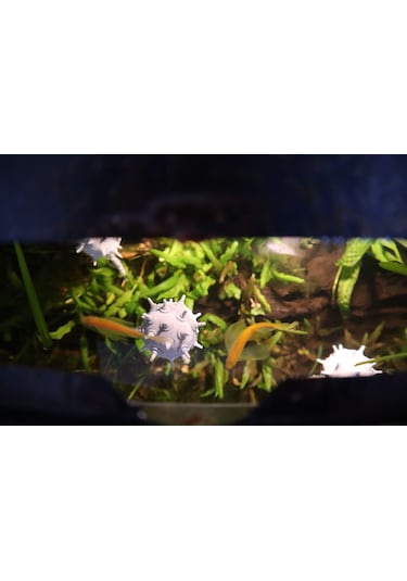 Yüzen Akvaryum Mayını Zincirli Dekoratif Aksesuar