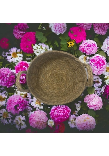 T. Concept Dekoratif İplikli Rattan Hasır Sepet, Çok Amaçlı Düzenleme, Sepeti Orta