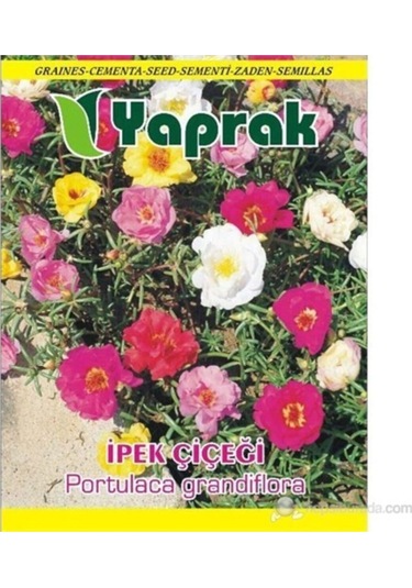 Çiçek Tohumu Ipek Çiçeği