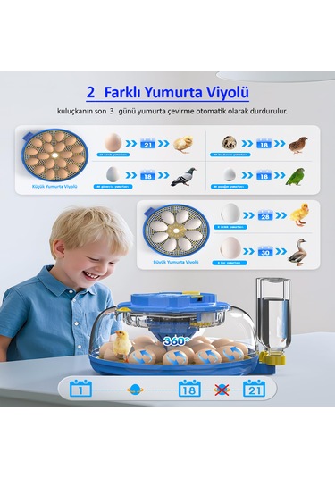 Altın Kuluçka-wonegg 18'li Tam Otomatik Kuluçka Makinesi