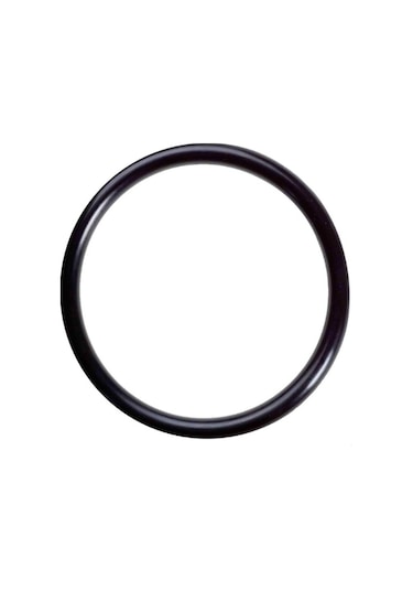 Bajaj Yağ Filtre Kapak Oring Dominar 400