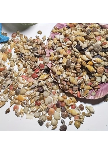 Willowhaven 120g Renkli Mini Reçin El Yapımı Deniz Kabuğu Kum Mix Akvaryum Dekor Dıy Tırnak Sanatı