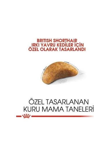 Royal Canin British Shorthair Yavru Kedi Maması 2 KG
