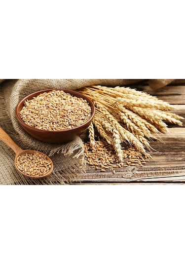 Armix Iz Element Kompleksi Combi ( Kombi )10 KG