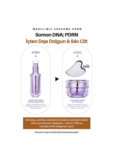 Maxclınıc Exosome PDRN Yoğun Elastikiyet ve Cilt Dolgunlaştırıcı Maxclinic Krem + Gua Sha