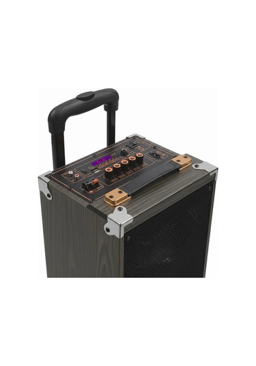 Hepu Hp-904 Partybox Bluetooth Hoparlör 12 Woofer 40w Güç 1 Kablosuz Mikrofon Kumanda