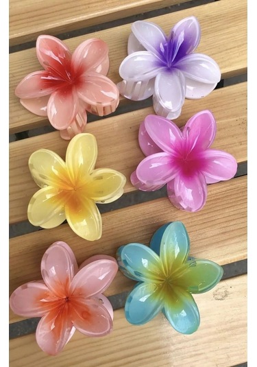 6 Adet Lotus Toka Renkli Kırılmaz Çok Renkli