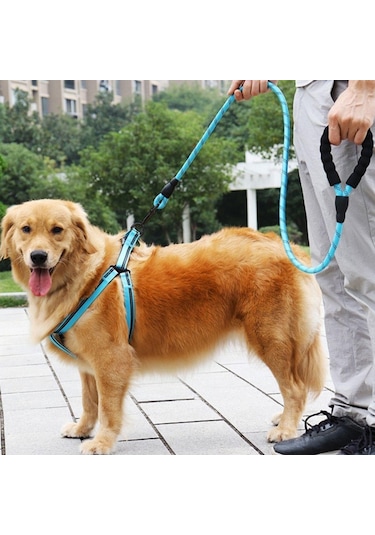 Buffer Reflektörlü Fosforlu Köpek Gezdirme Halatı Tasma Kayışı Metal Kancalı 130 CM Mavi