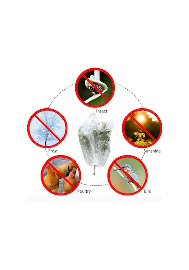 Sones Bağcıklı Bitki Böcek Örtüsü Ağı Sera Meyve Ağacı Kuş Örtüsü, Boyut: 1.2x1.4m Beyaz