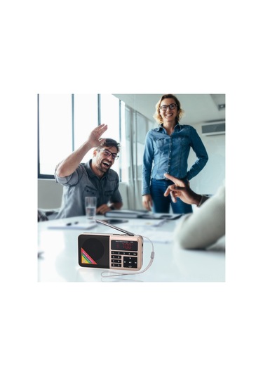 Springsun Y-509 Modeli Fm Radyo: Led Fenerli, Mp3 Çalar, 1500mah Şarj Edilebilir Pil Ve Usb Kablosu İçeren Taşınabilir Cihaz