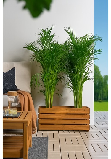 Masif Ahşap Dekorasyon Çiçeklik Saksılık 0 - 1 Kg