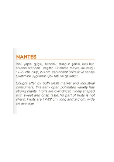 Ata Tohumu Yerli Doğal Havuç Tohumu 1000 Atet Tohum