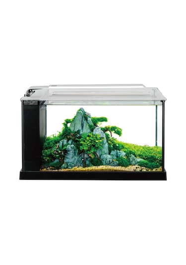 Anubias Platy 52 Nano Akvaryum Siyah 52 X 22,7 X 30 Cm