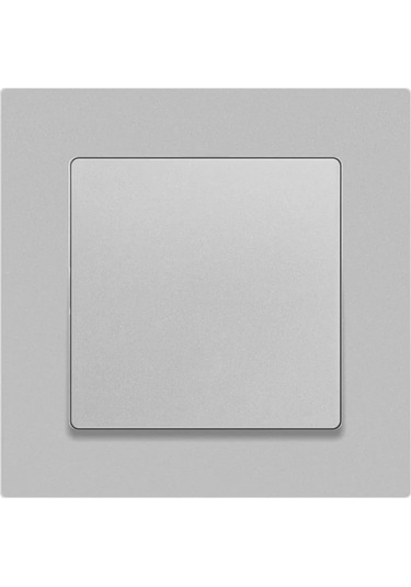 Intro Tek Tuşlu Alüminyum Anahtar 367379262