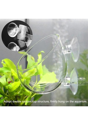 Singree Akvaryum Bitki Taşıyıcı Cam Kase - Sürekli Oksijen Sağlar, Su Kalitesini Artırır, Emici Çene İle Sabitlenir, Tümü İçin Uygun