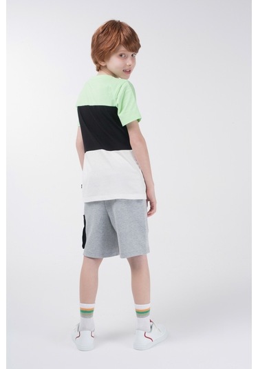 Brz Kids Kontrast Renkli Baskılı Erkek Çocuk Kısa Kollu T-Shirt Çok Renkli