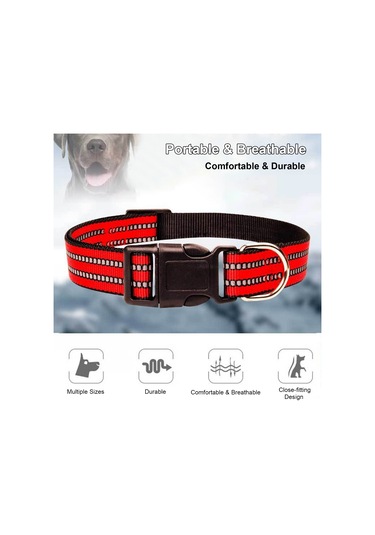 Geeroyoo "yansıtıcı Nylon Köpek Tasması - Ayarlanabilir Ve Rahat, Orta/büyük Boy Köpekler İçin" Turuncu