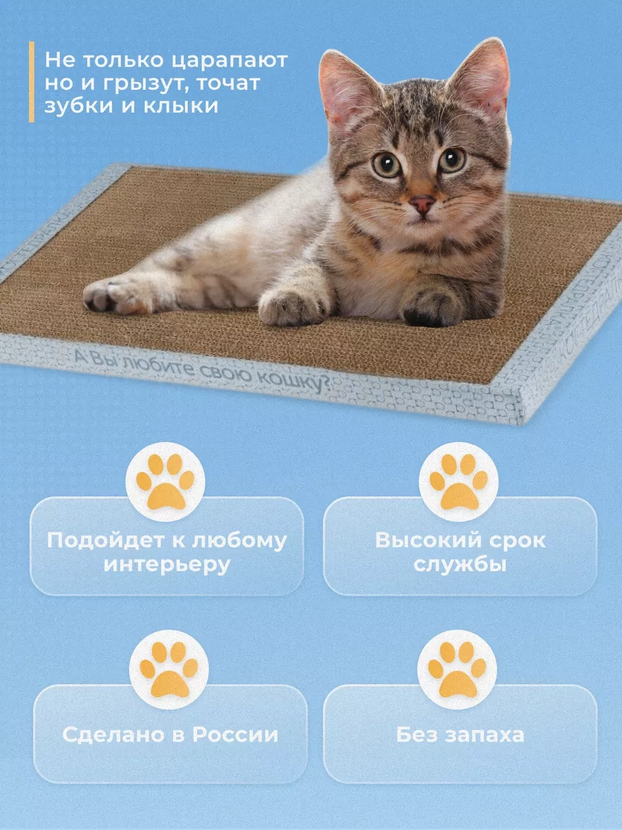 Kogtedralka Büyük Tırmalama Ve Uyku Yatağı 56x30x3.1cm 3070415