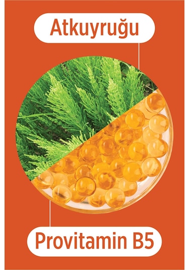 Selesta Life Atkuyruğu Bitki Ve Provitamin B5 Özlü Onarıcı & Koruyucu Saç Bakım Kremi Yıpranmış Saçlar 250 Ml