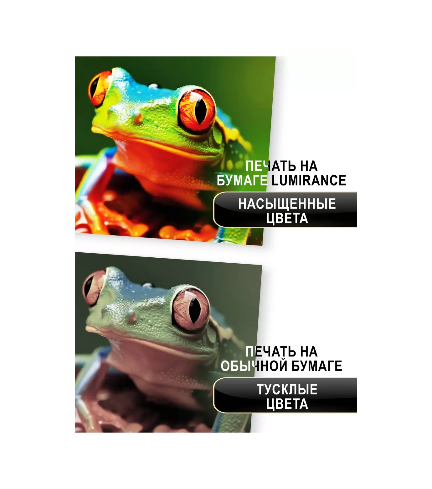 Lumırance A3 Fotoğraf Kağıdı, Parlak, 200gr/m2, 50 Yaprak 212674350