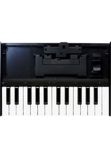 Roland K-25m Klavye Ünitesi