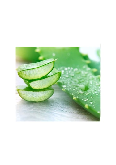 Lokman Aktar Aloe Vera Jel 500 ML