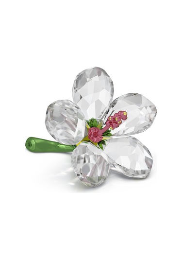 5690534 Swarovski Biblo Florere:hıbıscus S