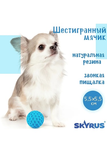 Skyrus Köpekler İçin Kauçuk Altıgen Toplar 5.5x5.5x5.5 Cm 210526217